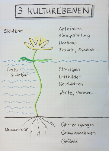 Seerosenmodell Organisationskultur nach E. Schein